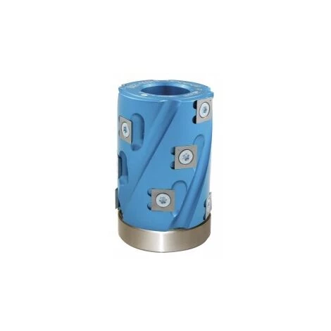 LEMAN Calibreur De Toupie Arbre 30 Mm Hauteur 80 Mm 12 Plaquettes + Roulement